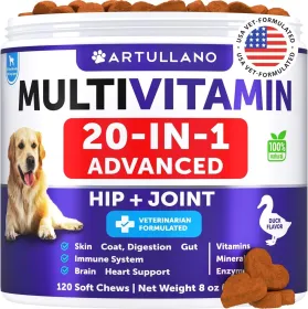 Dog Multivitamin Chewable With Glucosamine 20 In 1 Dog Vitamins And Supplements Senior & Puppy Multivitamin For Dogs Pet Joint Support Health Immunity